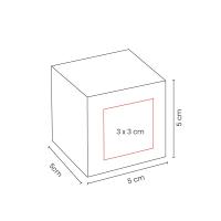 KIT THE LIME ZEST ESSENTIALS